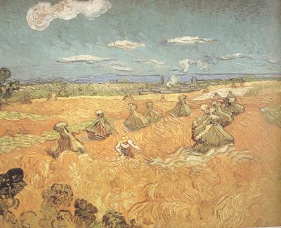 Vincent Van Gogh Wheat Stacks wtih Reaper (nn04) oil painting picture
